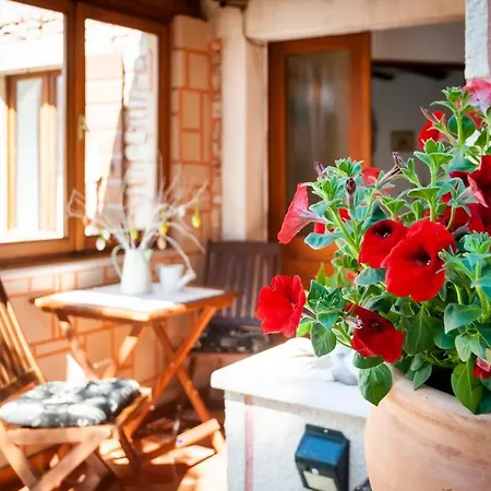Pino Apartment