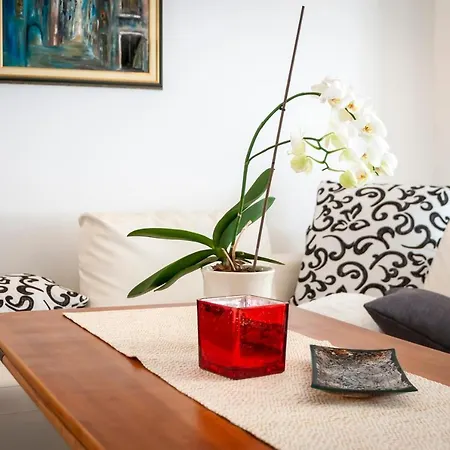 Pino Apartment